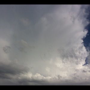 Meet your Posher, Janet